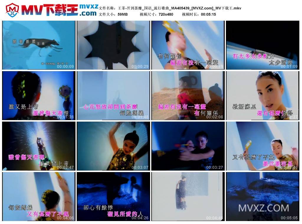 王菲-开到荼靡_国语_流行歌曲_MA405439